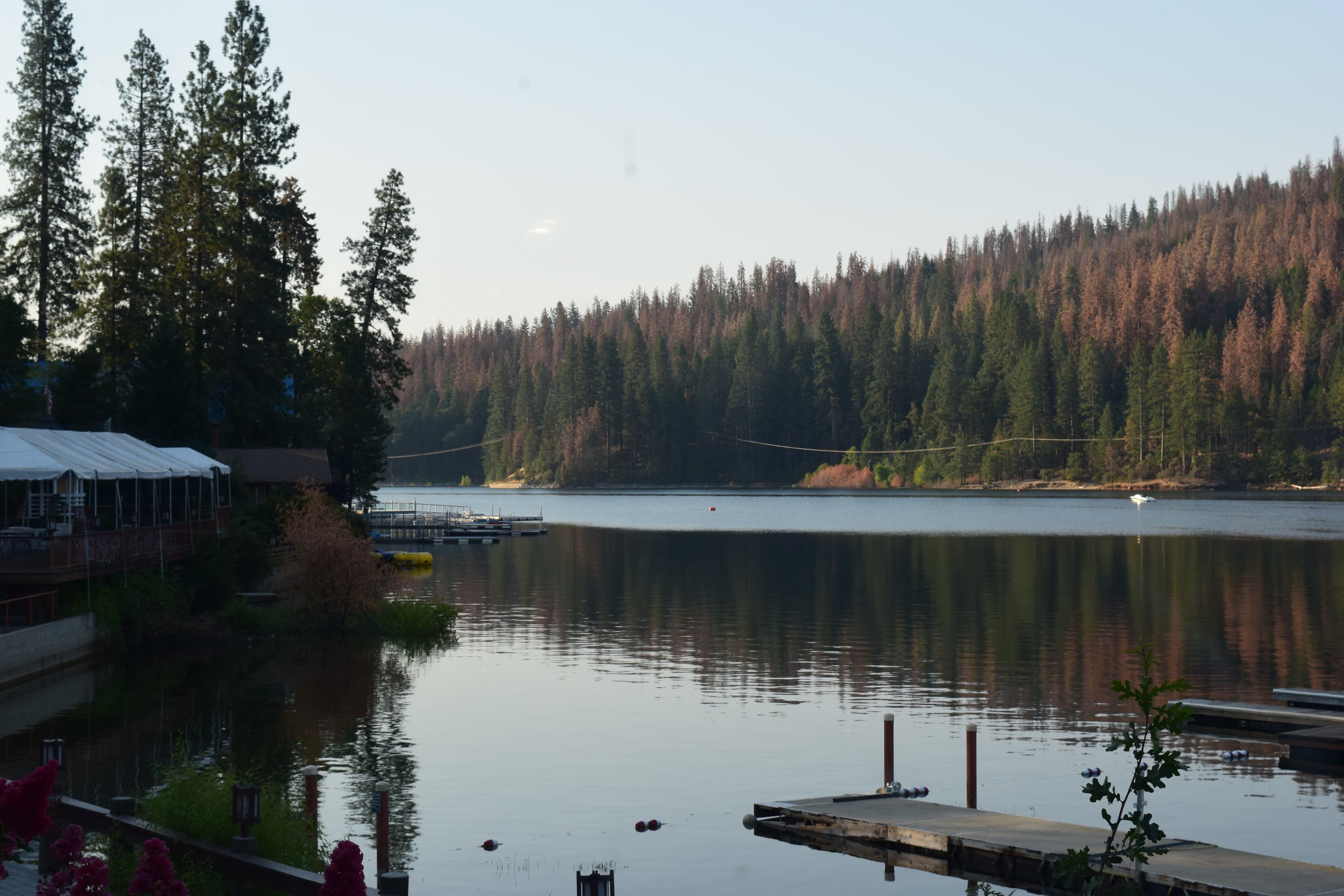Yosemite Half Marathon